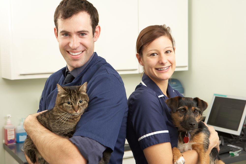 Pet Insurance: Essential Coverage for Your Furry Friend