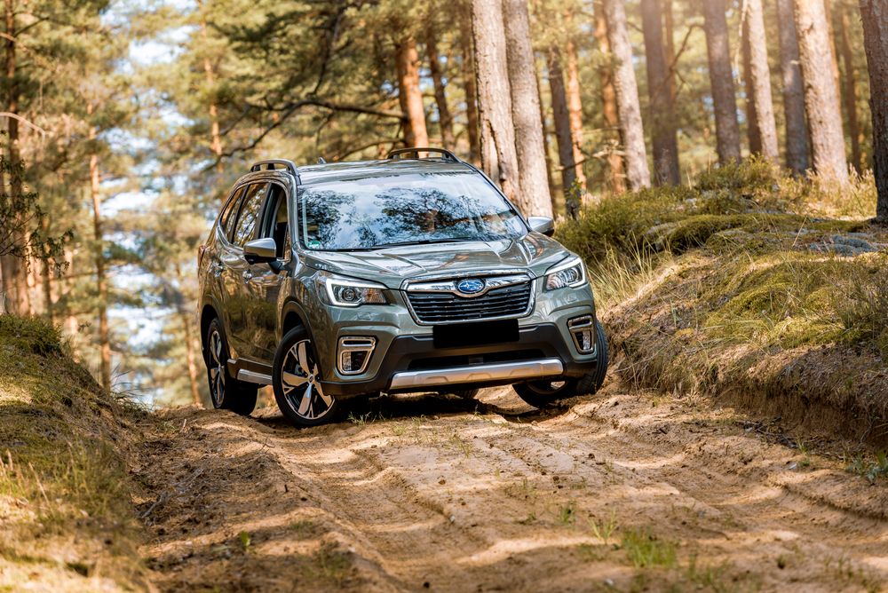 Discover the 2025 Subaru Forester: Versatility Meets Comfort